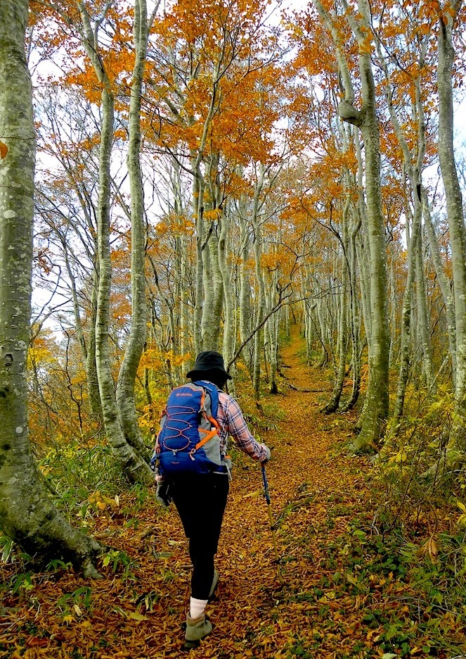 c0078410_9164182.jpg