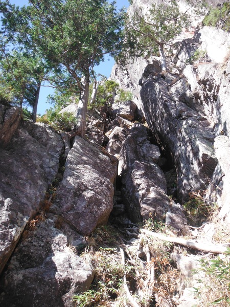 d0264710_2305945.jpg
