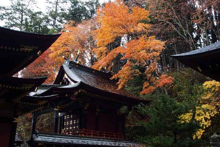 大滝の紅葉（その１）_a0268412_21101854.jpg