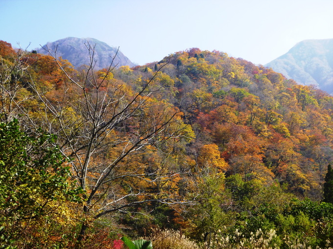 紅葉終盤　刈込池　(1,140M) に行く    下山 編_d0170615_1013085.jpg