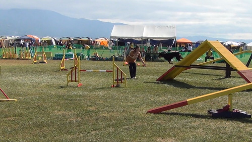 a0253518_2042522.jpg