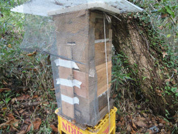 f0232920_15501895.gif