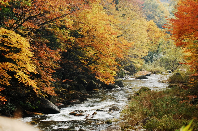 f0248120_20201233.jpg