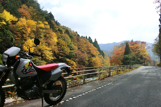 f0248120_2020679.jpg