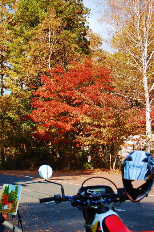 f0248120_2021172.jpg