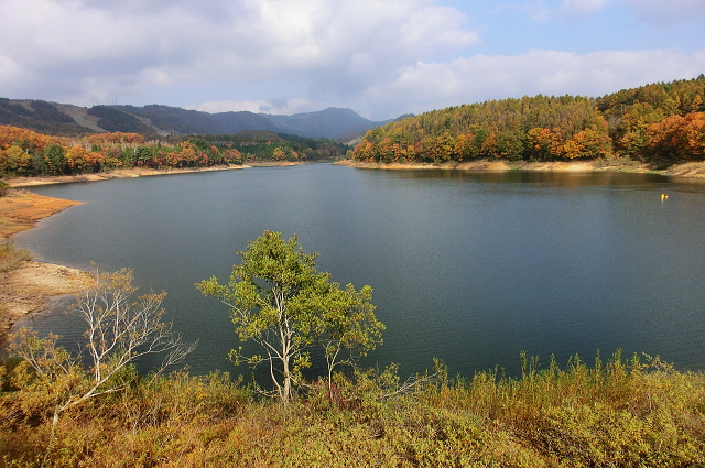 f0248120_2021398.jpg