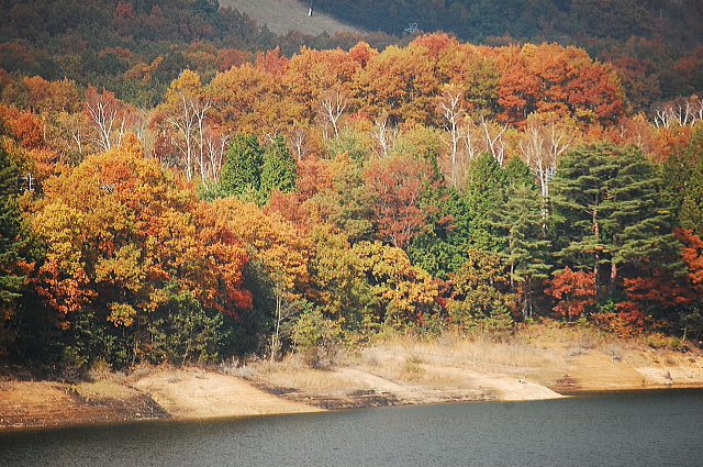 f0248120_20221429.jpg
