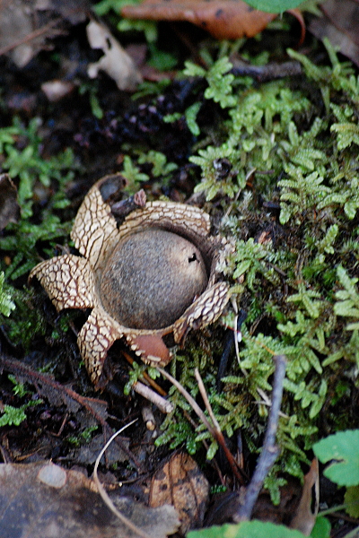 f0248120_20222971.jpg