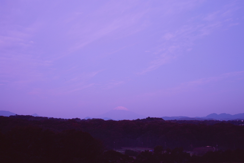 d0240223_732289.jpg