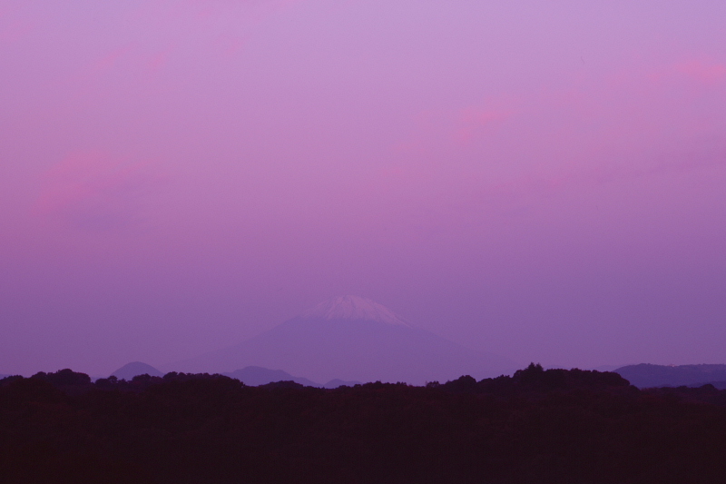 d0240223_751791.jpg