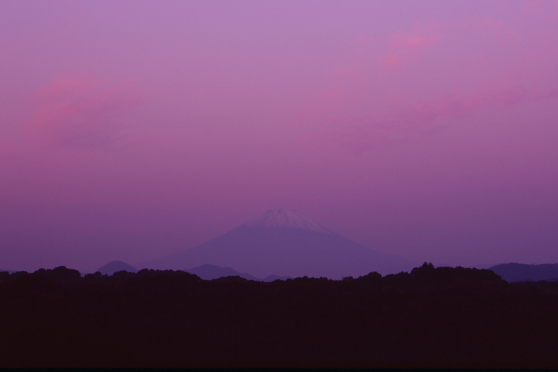 d0240223_762651.jpg
