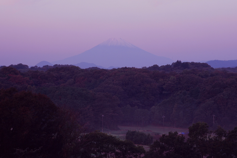 d0240223_775158.jpg