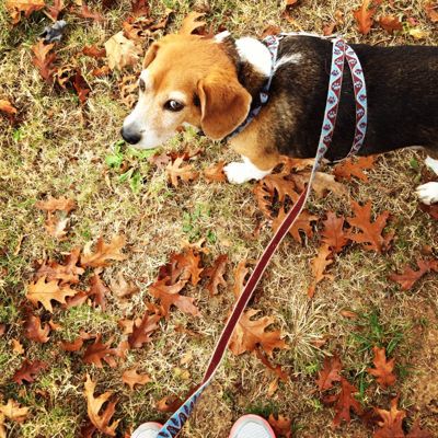 CaHRH block5_e0115325_86267.jpg