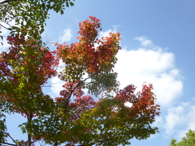 a0214927_2042138.jpg