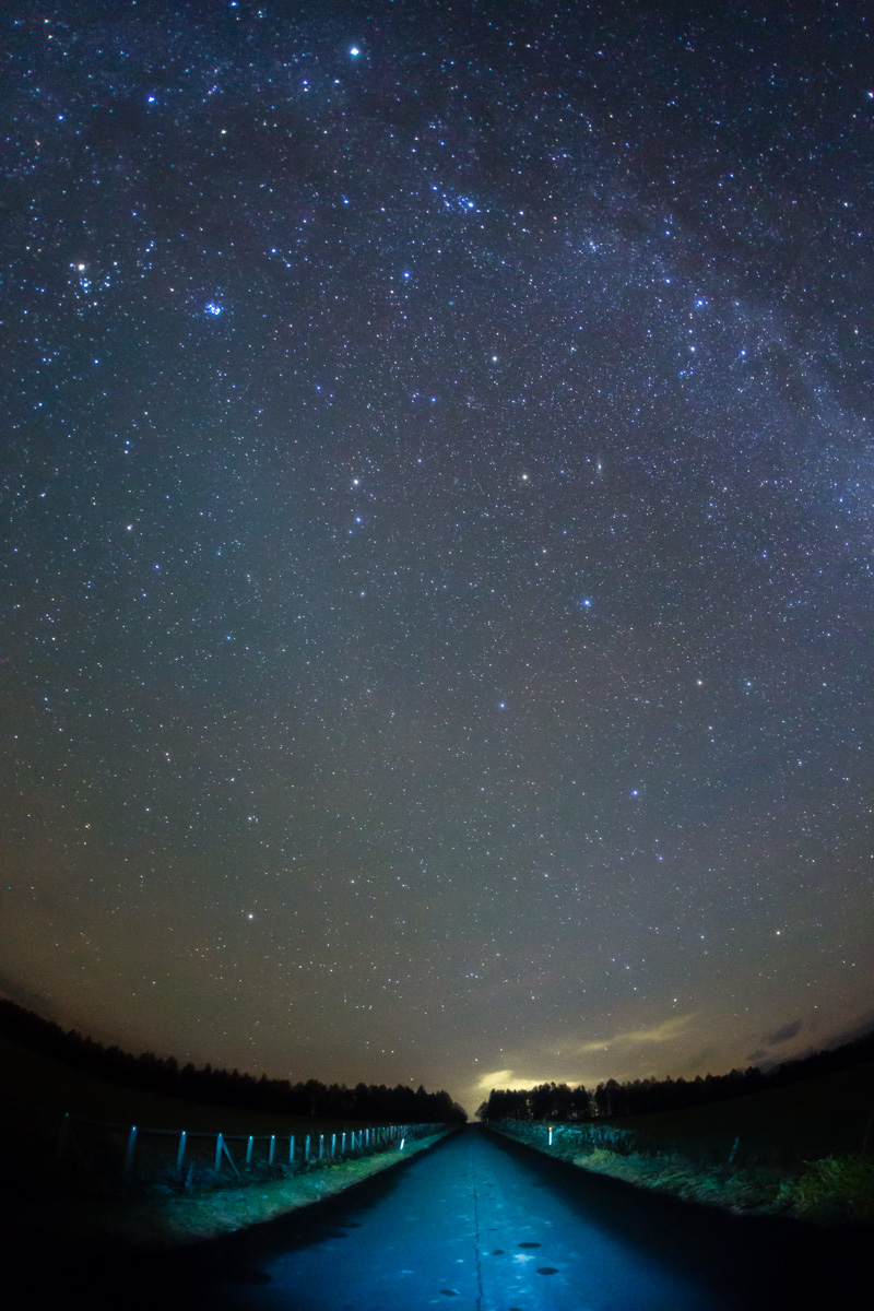 b0243727_1935889.jpg
