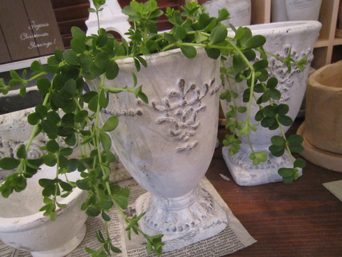 植木鉢 手作り品 Ayuka