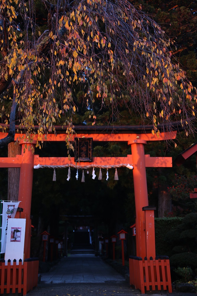 夕日が_c0111229_18581850.jpg