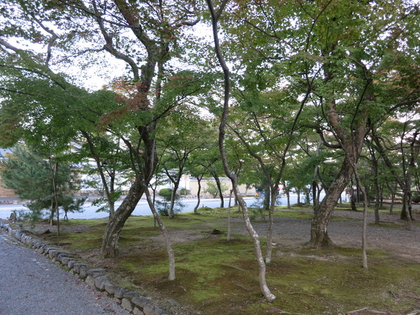 a0197730_21204745.jpg