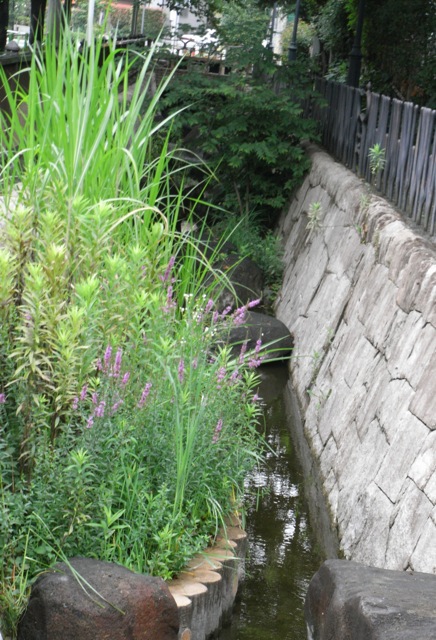 e0278631_2032117.jpg
