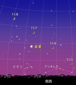 立冬はワニのパワー全開です!_b0213435_022580.png