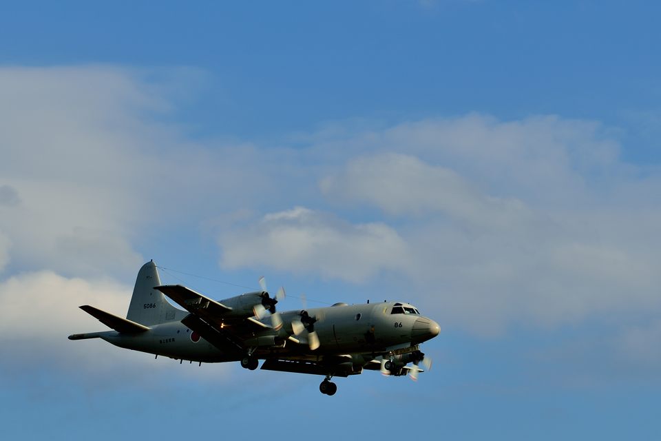 d0172537_2263911.jpg