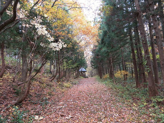f0003138_14352242.jpg