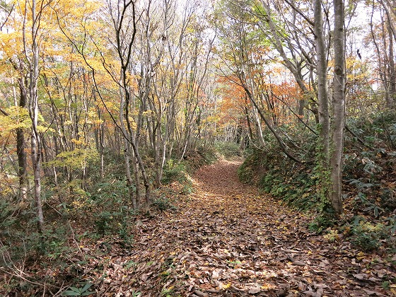 f0003138_14375323.jpg