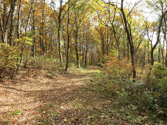 f0003138_1440309.jpg