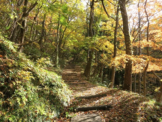 f0003138_14421911.jpg