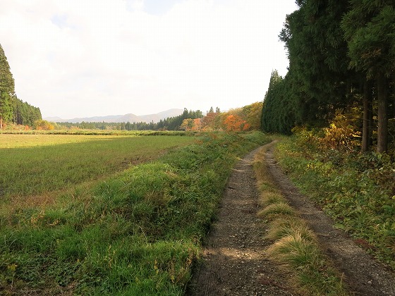 f0003138_14472070.jpg