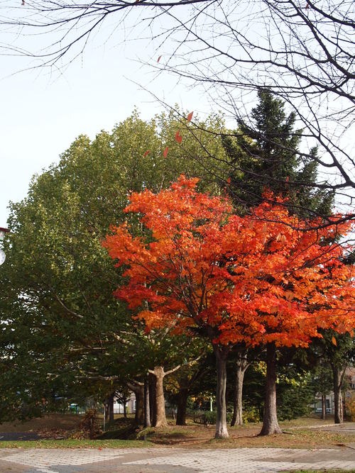 c0117239_9889.jpg