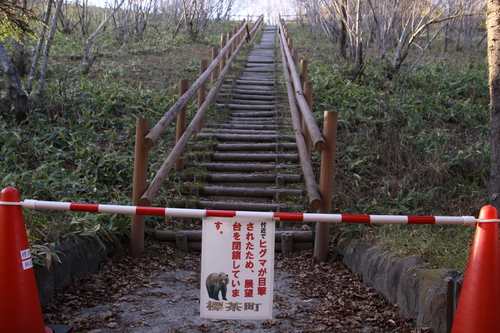 いいよ!シックなカラマツ紅葉 11月7日_f0113639_1882324.jpg
