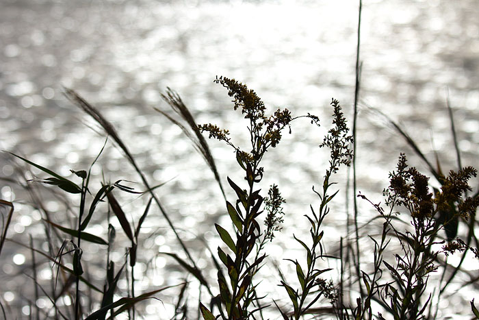 c0067040_233334.jpg