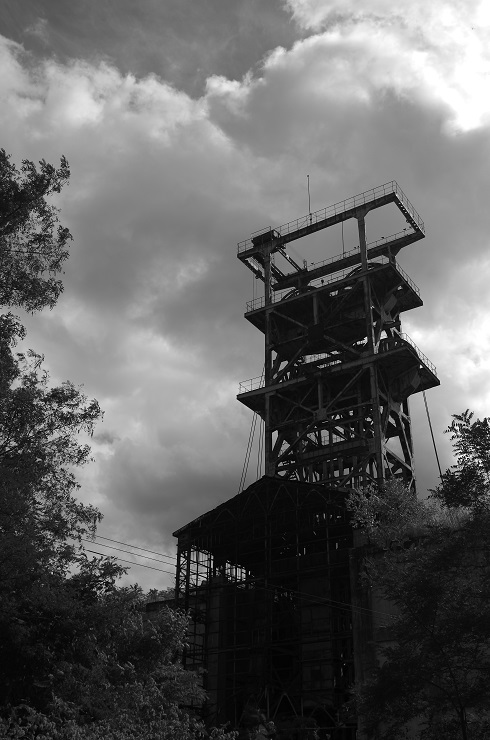 d0165741_1725125.jpg