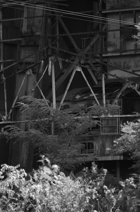 d0165741_17255960.jpg