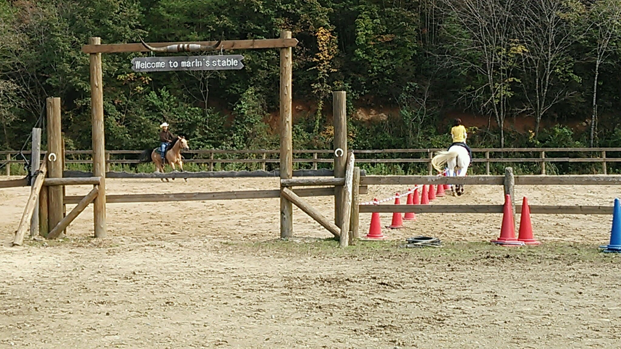 立冬ですね_e0145441_7114530.jpg