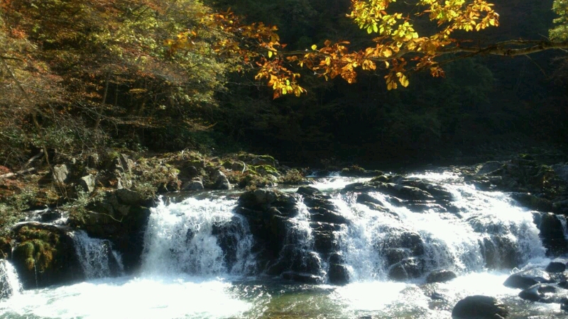 c0295742_15524869.jpg