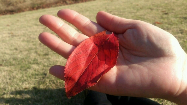 c0295742_1615581.jpg