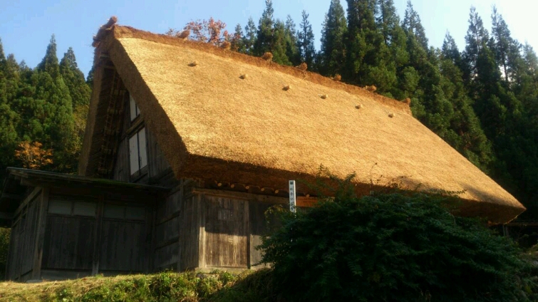 c0295742_16233014.jpg