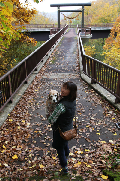 a0042044_19779.jpg