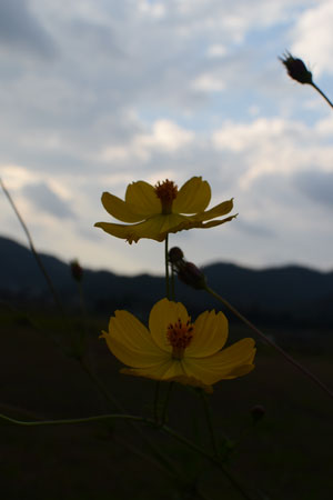 広沢池。_d0227246_2181080.jpg