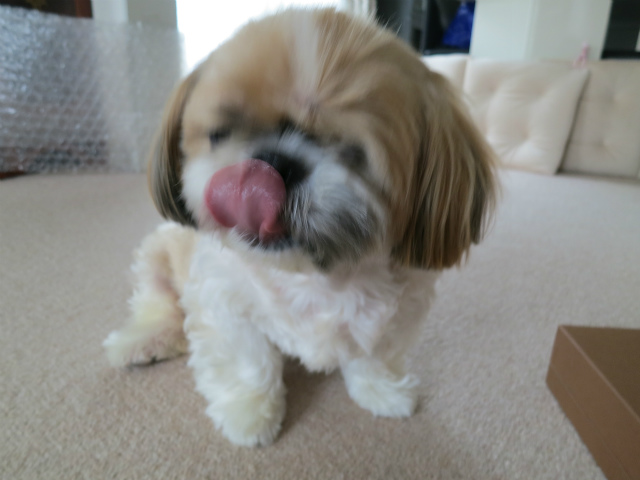 c0043751_00338.jpg