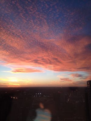 c0200153_11554953.jpg