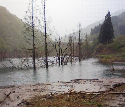 徳山ダムの水は「品質保証」されていない_f0197754_2124319.jpg