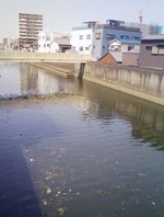 荒崎水害訴訟控訴審不当判決、そして・・・_f0197754_2274038.jpg