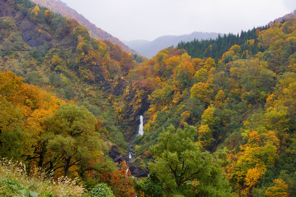 waterfall(長野県小谷村　尾丸滝と姫川）_e0223456_9165314.jpg