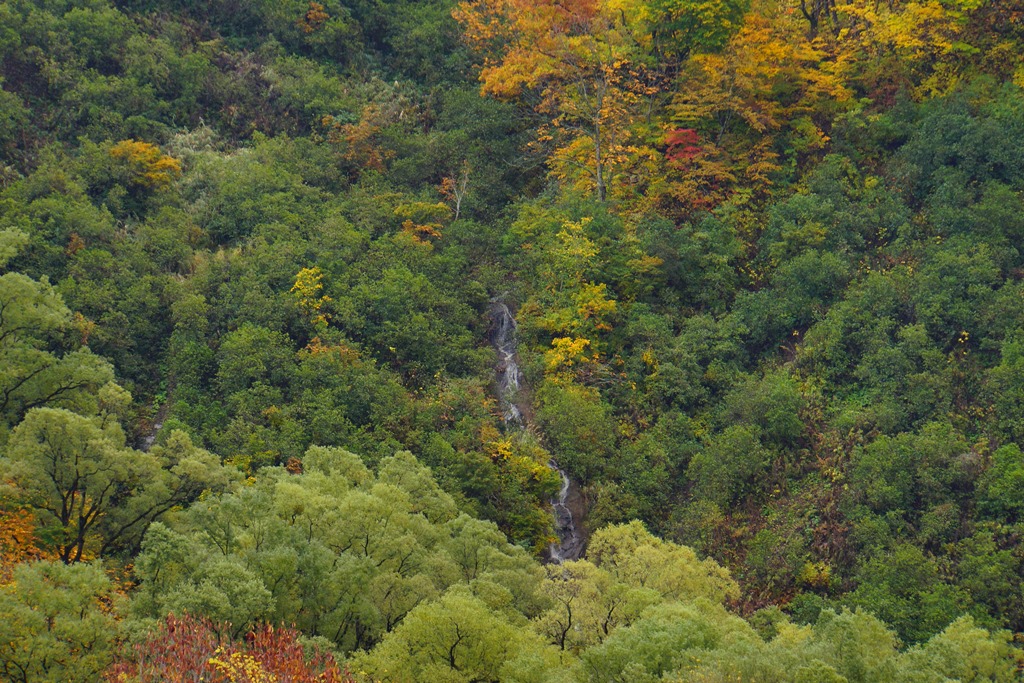 waterfall(長野県小谷村　尾丸滝と姫川）_e0223456_9215575.jpg