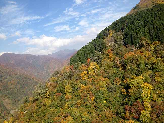 白山スーパー林道と輪島　その１_c0109957_2133318.jpg