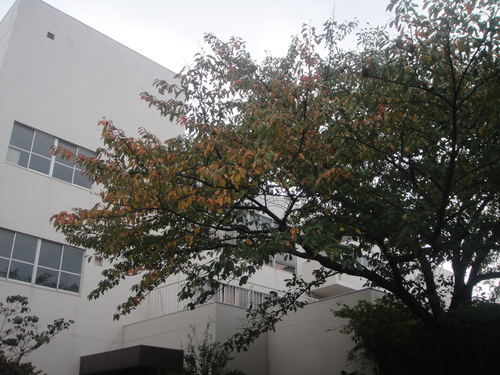 c0108460_20235099.jpg