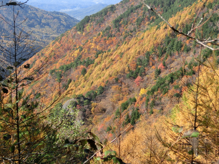 c0140260_22561651.jpg